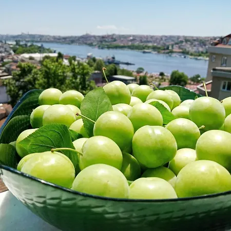Beyoglu With Great View 伊斯坦布尔
